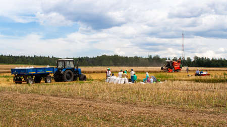 People during harvesting in the field. Break during work. Harvesting wheat and cereals on the field...