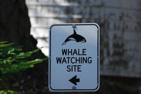 Whale Watching Site Sign on San Juan Island, Washington Stateの写真素材