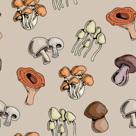 Forest mushrooms colorful seamless pattern, hand drawing styleのイラスト素材