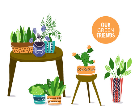 Composition with home plants or flowers at table, home garden or greenhouse, isolated elements on white. Flat style, Scandinavian.のイラスト素材