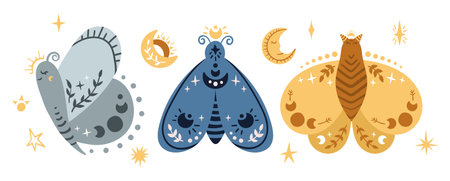 Celestial butterfly, moth, moon isolated kids clipart, boho hand drawn insect, moon, stars on white background, cute space magic baby illustration, vector design elements on whiteのイラスト素材