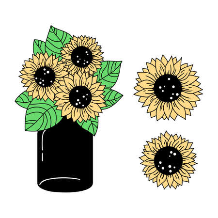 Sunflowers and mason jar isolated clipart set, colorful and black floral decorative elements, line wildflower and leaves, botanical design items, bouquete with sunflowers - vector illustrationのイラスト素材