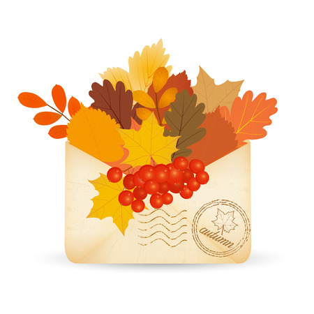 envelope with autumn leaves and berries in vintage style. Vector illustration.のイラスト素材