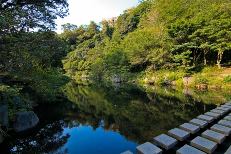 Green Sceneryの写真素材