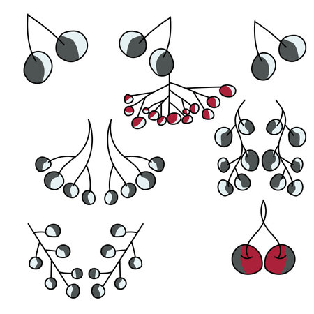 Set of doodle beriies, cute vector illustration, harvest colored berry for design and creativityのイラスト素材