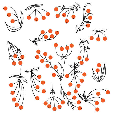 A set of various doodle berries with delicate contour leaves, twigs for the design of cards, invitations, etc. vector illustrationのイラスト素材