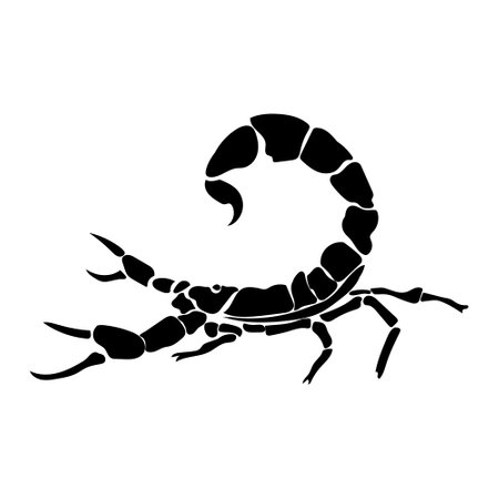 Zodiac sign Scorpio silhouette, one of the 12 horoscope signs, or poisonous arthropod scorpion vector illustrationのイラスト素材