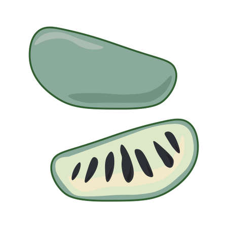 Azimina fruit, whole and half, juicy tropical fruit pawpaw with dark seeds vector illustrationのイラスト素材
