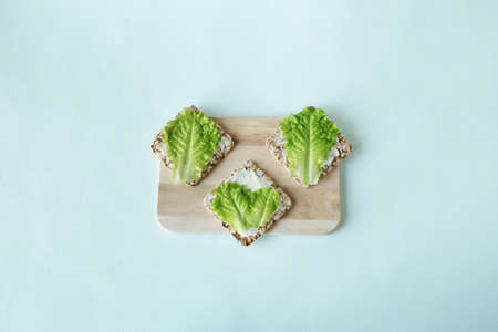 Vegetarian sandwiches with crispbread, green salad and soft cheese flat lay on a light background.の写真素材