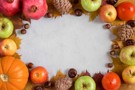 Autumn frame with yellow maple leaves, nuts, apples and pumpkin. Fall harvest on concrete gray background flat lay with copy space.の写真素材