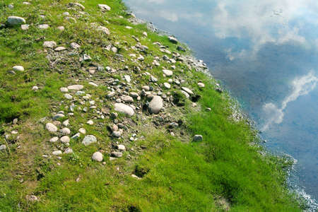 Grass and stoneの写真素材