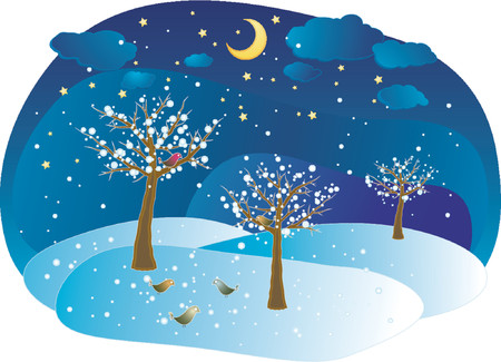 Winter trees, vectorのイラスト素材
