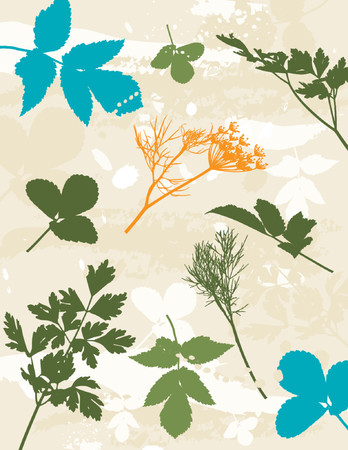 scented, clipart, contour, drawing, graphic, natural, nature, grunge, design, season, orange, fennel, vector, flower, stalk, plant, color, brush, shape, grass, curve, green, herb, stem, crop, dill, leaf, illustration, stylization, composition, silhouette, background, creativity, decoration, separable, abstract, parsley, cartoon, tracingのイラスト素材