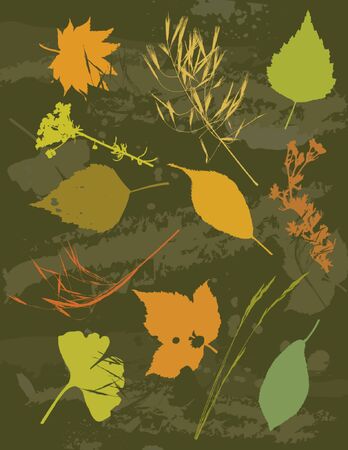 illustration, stylization, composition, silhouette, background, creativity, decoration, separable, abstract, cartoon, tracing, scented, clipart, contour, drawing, graphic, natural, nature, grunge, design, season, orange, vector, flower, biloba, stalk, plant, color, brush, shape, grass, curve, ginko, green, herb, stem, crop, dill, leafのイラスト素材