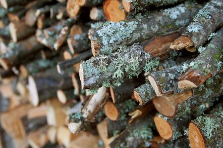 background of woodの写真素材