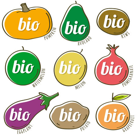 set of organic vegetable and fruit, vector illustrationのイラスト素材
