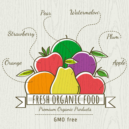 set of organic vegetable and fruit, vector illustrationのイラスト素材