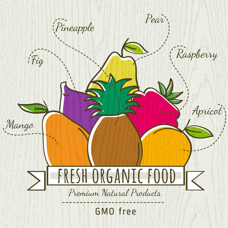 set of organic fruits, vector illustrationのイラスト素材