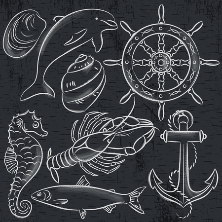 Set of  summer symbols, ship rudder, anchor, shells, lobster, dolphin on a blackboard background, vector illustration.のイラスト素材