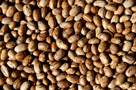Closeup of a background of colorful dry beans