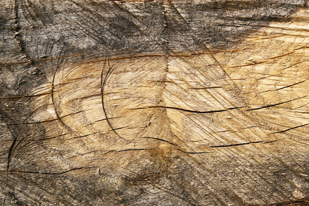Background of old cracked wood with many traces of cutting. Rough texture of natural wood panelの写真素材
