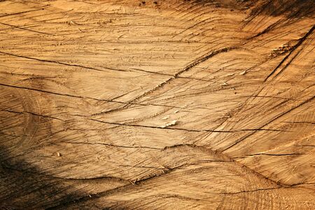 Background of old cracked wood with many traces of cutting. Rough texture of natural wood panelの写真素材