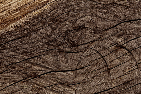 Background of old cracked wood with many traces of cutting. Rough texture of natural wood panelの写真素材