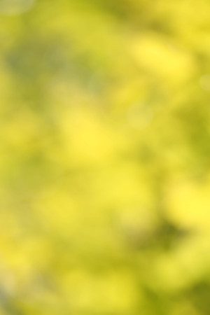 Bokeh of nature backgroundの写真素材