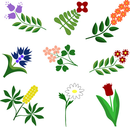 image different flowerのイラスト素材