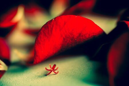 Red abstract backgroundの写真素材