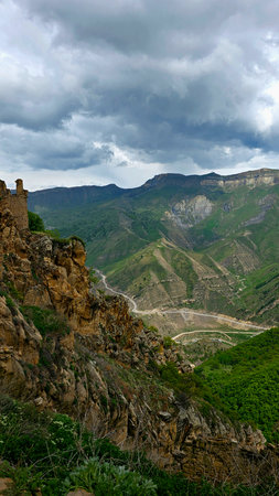 Mountain landscape with green forest and cloudy sky