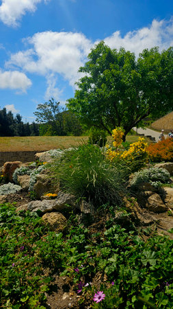Landscape view of a garden in a sunny day with blue skyの写真素材