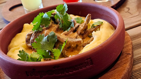 Rustic Beef and Potato Meal in Traditional Clay Pot
A warm and inviting dish of beef stew served in a clay pot with a side of creamy mashed potatoes. Perfect for food styling and rの写真素材