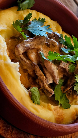 Slow-Cooked Beef in Clay Pot with Buttery Mashed Potatoes
A delicious combination of slow-cooked beef in a clay pot and rich, buttery mashed potatoes. Great for food photography anの写真素材