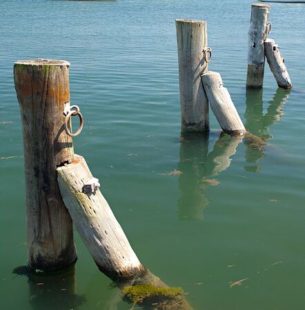 A  picturesque nautical image of three weathered timber special mooring posts in calm water  at Gosford Yacht Club, Lake Macquarie, Australia の写真素材