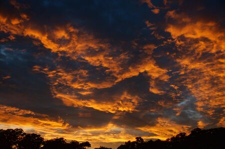 A vibrant dramatic crimson coloured stratocumulus cloudy sunrise landscape in a dark blue sky with a trees in silloutte horizon. Colourful nature background image. Gosford, New South Wales, Australia.の写真素材