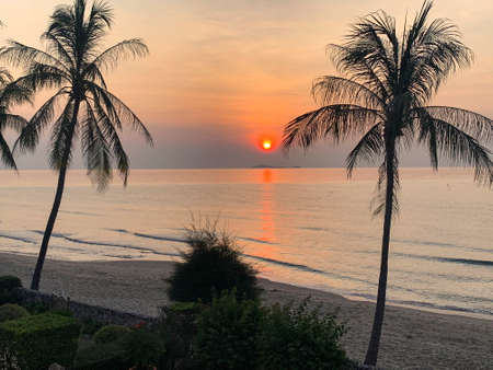 A picturesque tropical  crimson red coloured coastal sunrise seascape with palm trees and ocean water reflection. Thailand.の写真素材