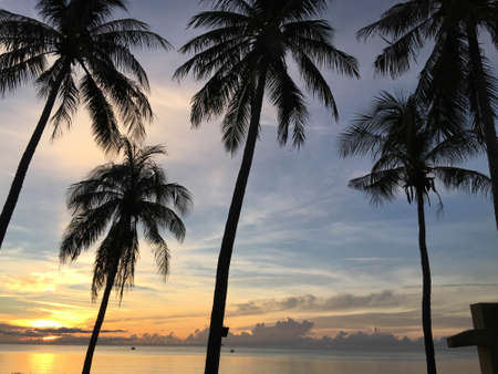 A picturesque tropical golden coloured cloudy coastal sunrise seascape with Palm Trees in a blue sky...