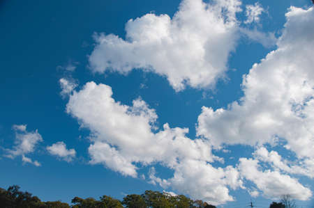 A beautiful meteorological sky cloudscape scene, with white  Cumulus cloud formation in a mid blue sky. Atmospheric beauty in nature. New South Wales, Australia.の写真素材