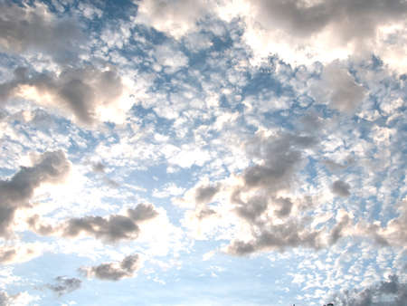 Nephology at its best. A beautiful meteorological sky cloudscape scene, with white Cumulus cloud formation in a pale blue sky. Atmospheric beauty in nature. New South Wales, Australia.の写真素材