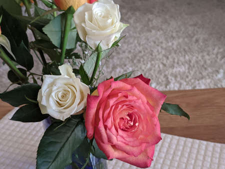 Beauty in nature image. Pretty pink and white Roses in a vase on a white coffee table cloth matting. Indoors. Australia.の写真素材