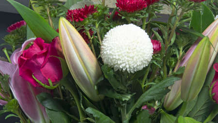 Pretty red Rose, Liliam Buds and white Pom Pom Mums Chrysanthemum flowers closeup. Beauty in nature image.の写真素材