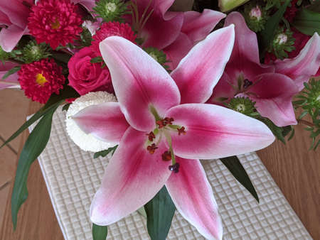 Floral display including Flashpoint pink and white Oriental Trumpet Lily closeup.Beauty in nature image.の写真素材