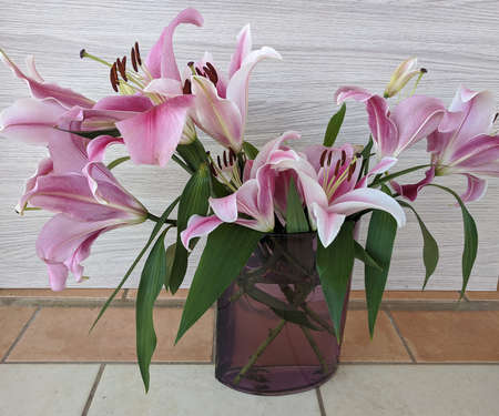 Floral display including Flashpoint pink and white Oriental Trumpet Lily in a transparent vase. Beauty in nature image.の写真素材