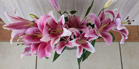 Floral display including Flashpoint pink and white Oriental Trumpet Lily overhead view. Beauty in nature image.の写真素材