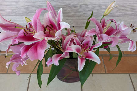 Floral display including Flashpoint pink and white Oriental Trumpet Lily closeup.Beauty in nature image.の写真素材