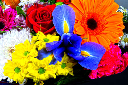 Colourful bunch of mixed flowers closeup. Australia.の写真素材