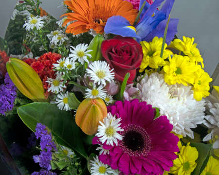 Colourful bunch of mixed flowers closeup. Australia.の写真素材