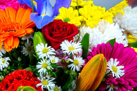 Colourful bunch of mixed flowers closeup. Australia.の写真素材