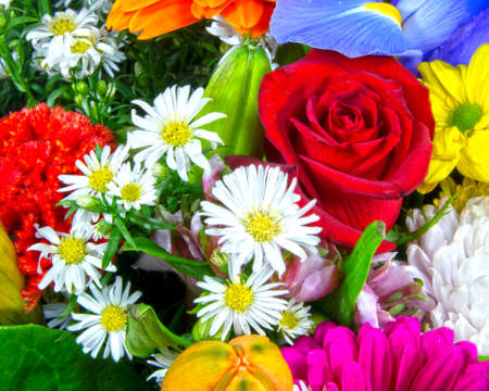 Colourful bunch of mixed flowers closeup. Australia.の写真素材